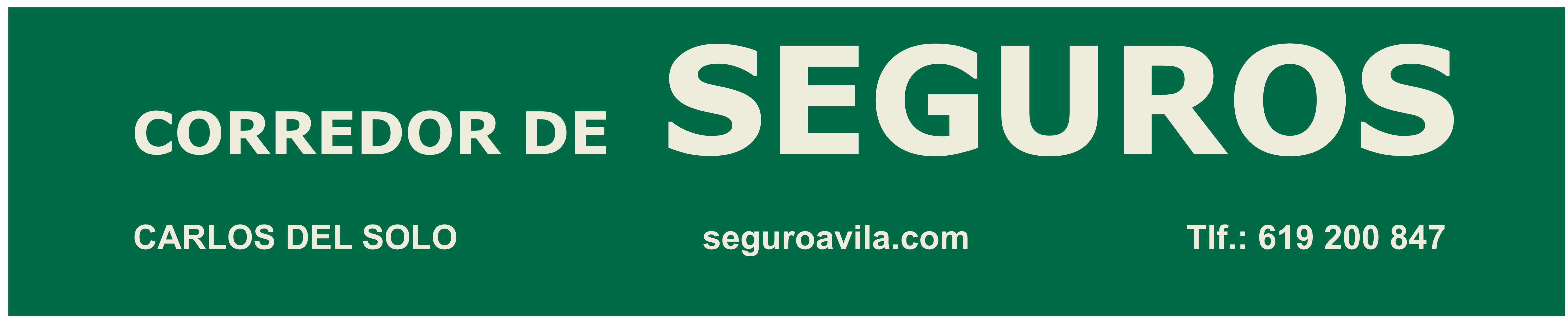 CORREDOR DE SEGUROS – SEGUROAVILA.COM